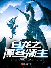 白龙之凛冬领主 cover 封面