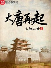 大唐再起 cover 封面