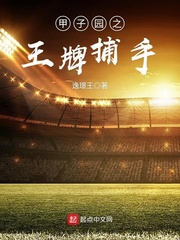 甲子园之王牌捕手 cover 封面