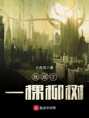 我成了一棵柳树 cover 封面