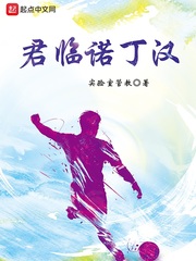 君临诺丁汉 cover 封面