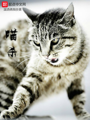 喵杀 cover 封面