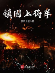 镇国上将军 cover 封面