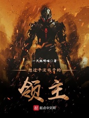 想过平淡日子的领主 cover 封面
