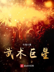 武术巨星 cover 封面