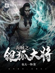 海贼之银狐大将 cover 封面