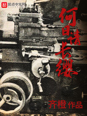 何日请长缨 cover 封面