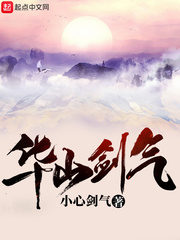 华山剑气 cover 封面