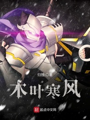 木叶寒风 cover 封面