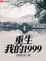 重生我的1999 cover 封面