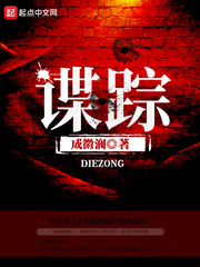 谍踪 cover 封面
