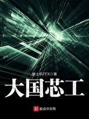 大国芯工 cover 封面