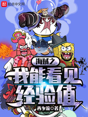海贼之我能看见经验值 cover 封面
