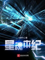 星魂本纪 cover 封面