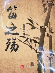 笛之殇 cover 封面