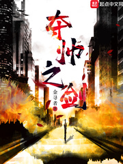 夺帅之剑 cover 封面