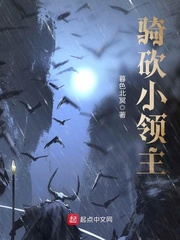 骑砍小领主 cover 封面