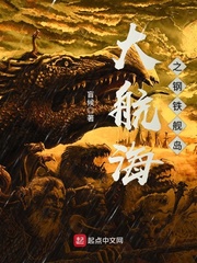 大航海之钢铁舰岛 cover 封面