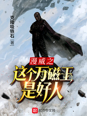 漫威之这个万磁王是好人 cover 封面