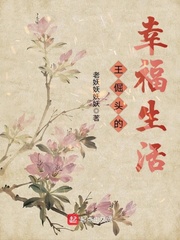 王倔头的幸福生活 cover 封面