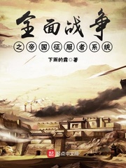全面战争之帝国征服者系统 cover 封面