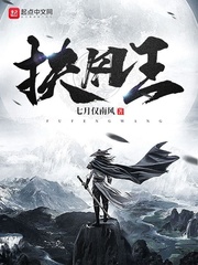 扶风王 cover 封面