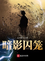 暗影囚笼 cover 封面