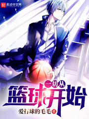 一切从篮球开始 cover 封面