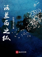 法兰西之狐 cover 封面