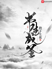 书生成圣 cover 封面