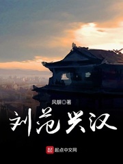 刘范兴汉 cover 封面