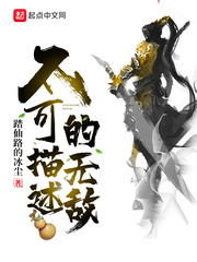 不可描述的无敌 cover 封面