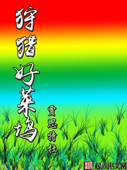 狩猎好莱坞 cover 封面