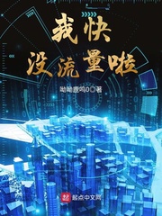 我快没流量啦 cover 封面