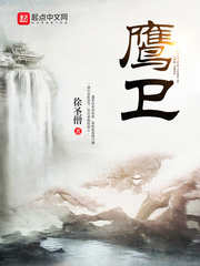 鹰卫 cover 封面