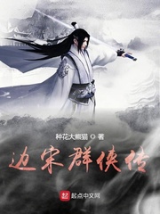边宋群侠传 cover 封面