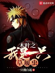 木叶之崩坏降临 cover 封面