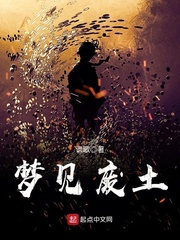 梦见废土 cover 封面
