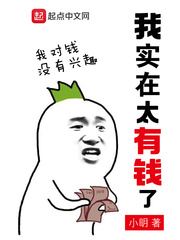 我实在太有钱了 cover 封面