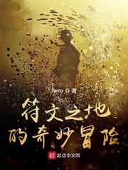 符文之地的奇妙冒险 cover 封面