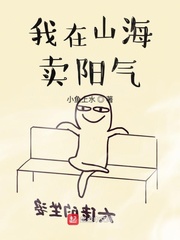 我在山海卖阳气 cover 封面