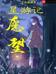 星游记愿望 cover 封面