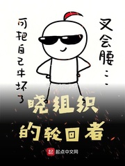 晓组织的轮回者 cover 封面