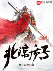 北凉质子 cover 封面