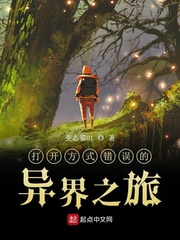 打开方式错误的异界之旅 cover 封面