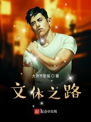 文体之路 cover 封面
