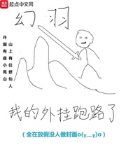 我的外挂跑路了 cover 封面