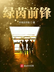 绿茵前锋 cover 封面