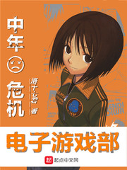 中年危机电子游戏部 cover 封面