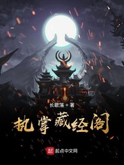 执掌藏经阁 cover 封面